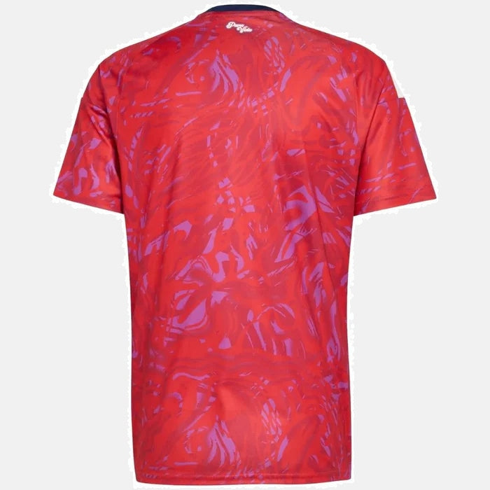 Camisa Selecao Costa Rica 2026 I - vista traseira