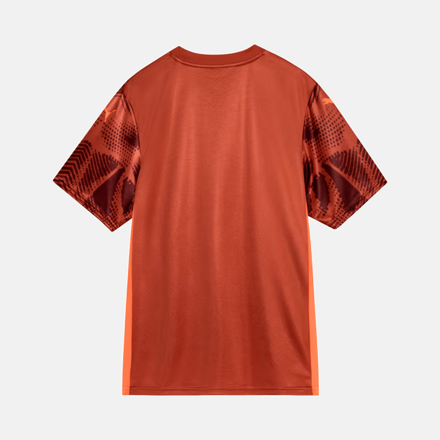 Camisa Goleiro Palmeiras 2025/26 II – Torcedor - vista traseira