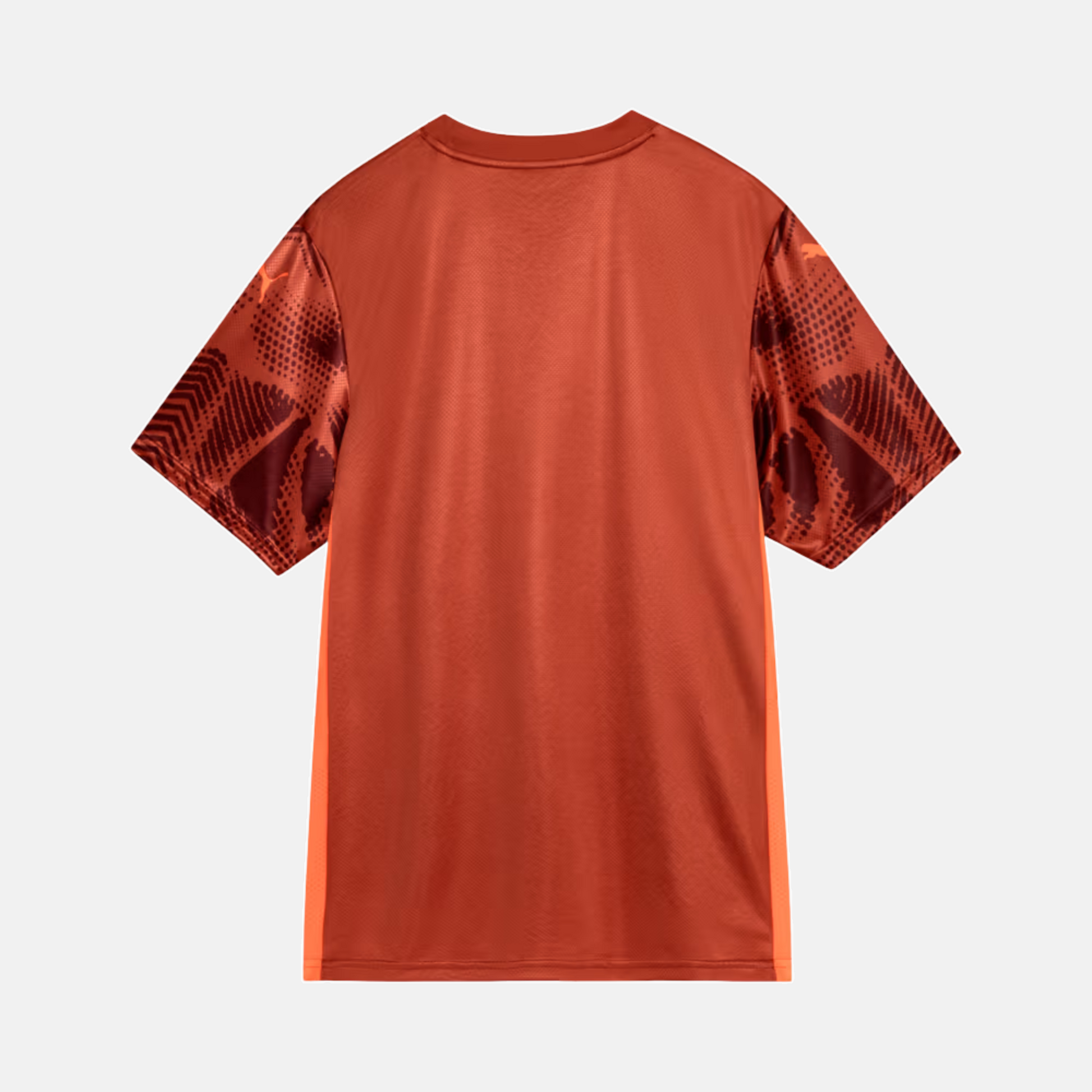 Camisa Goleiro Palmeiras 2025/26 II – Torcedor - vista traseira