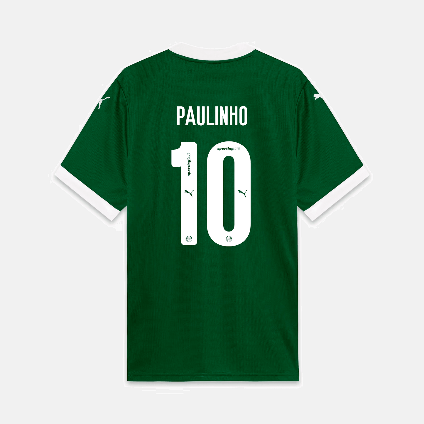 Camisa Puma Palmeiras 2025/26 I - Paulinho N° 10 - vista frontal