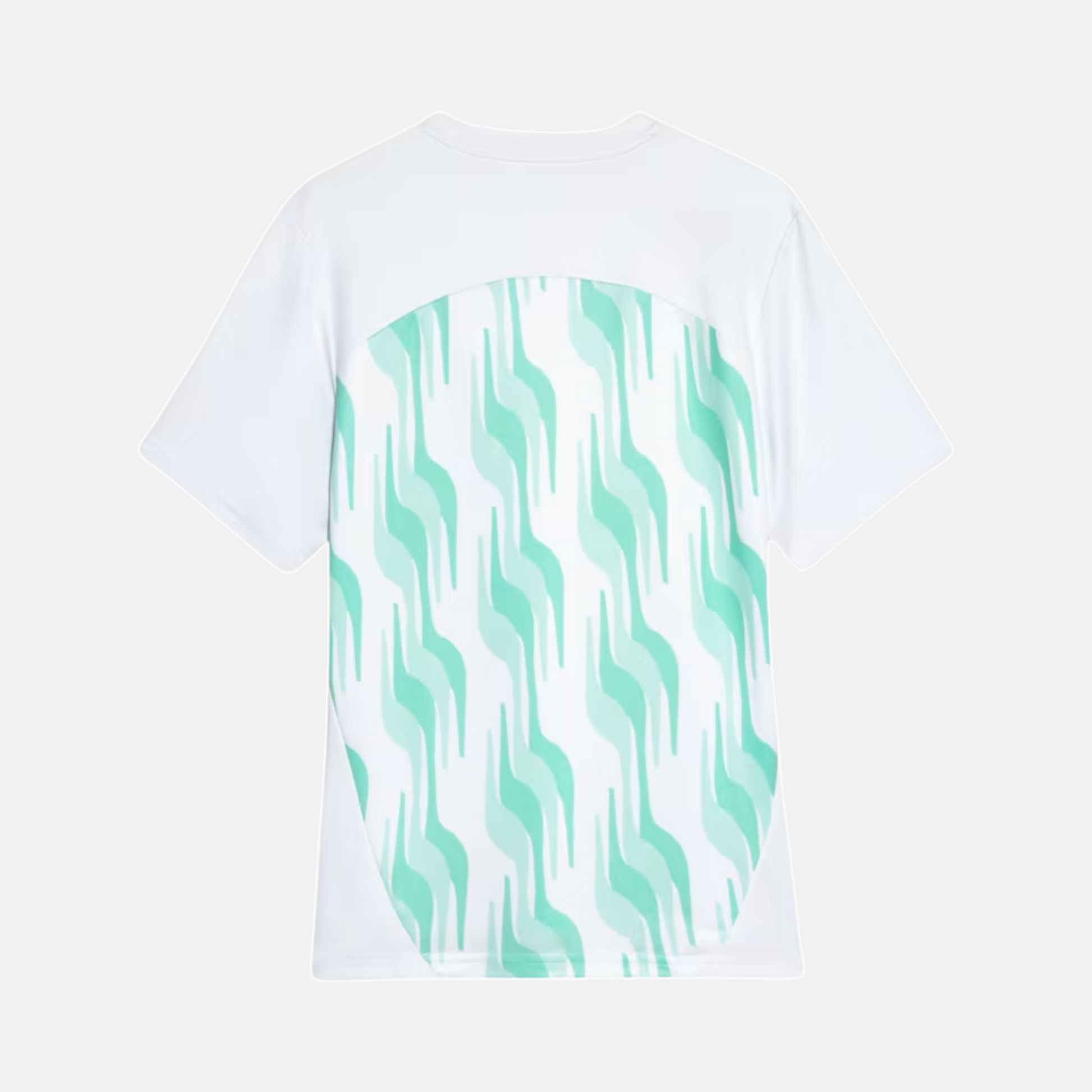 Camisa Puma Palmeiras 2025/26 Pre-Jogo - vista traseira