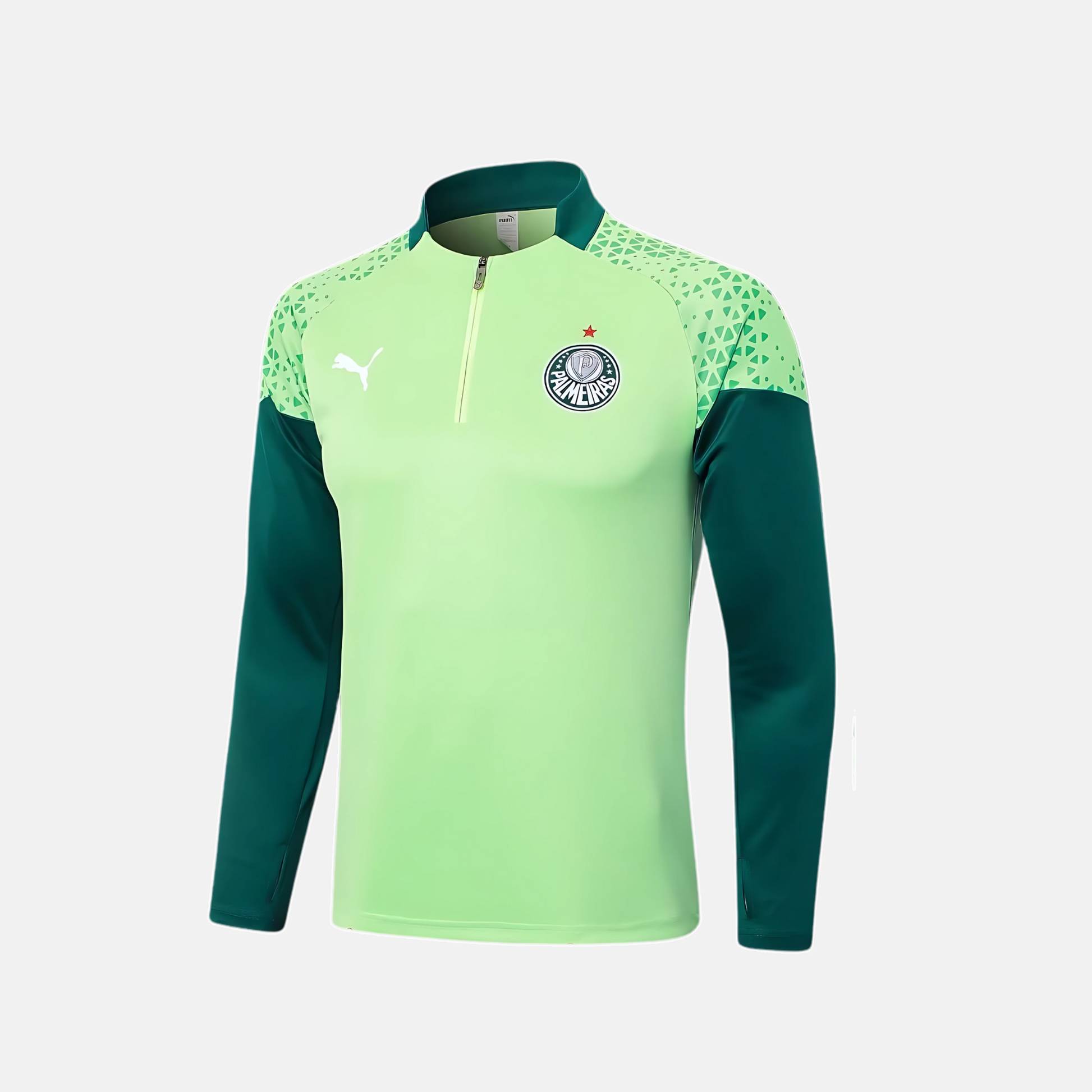 Conjunto de Treino Puma Palmeiras 2024/25 II – Masculino - vista traseira