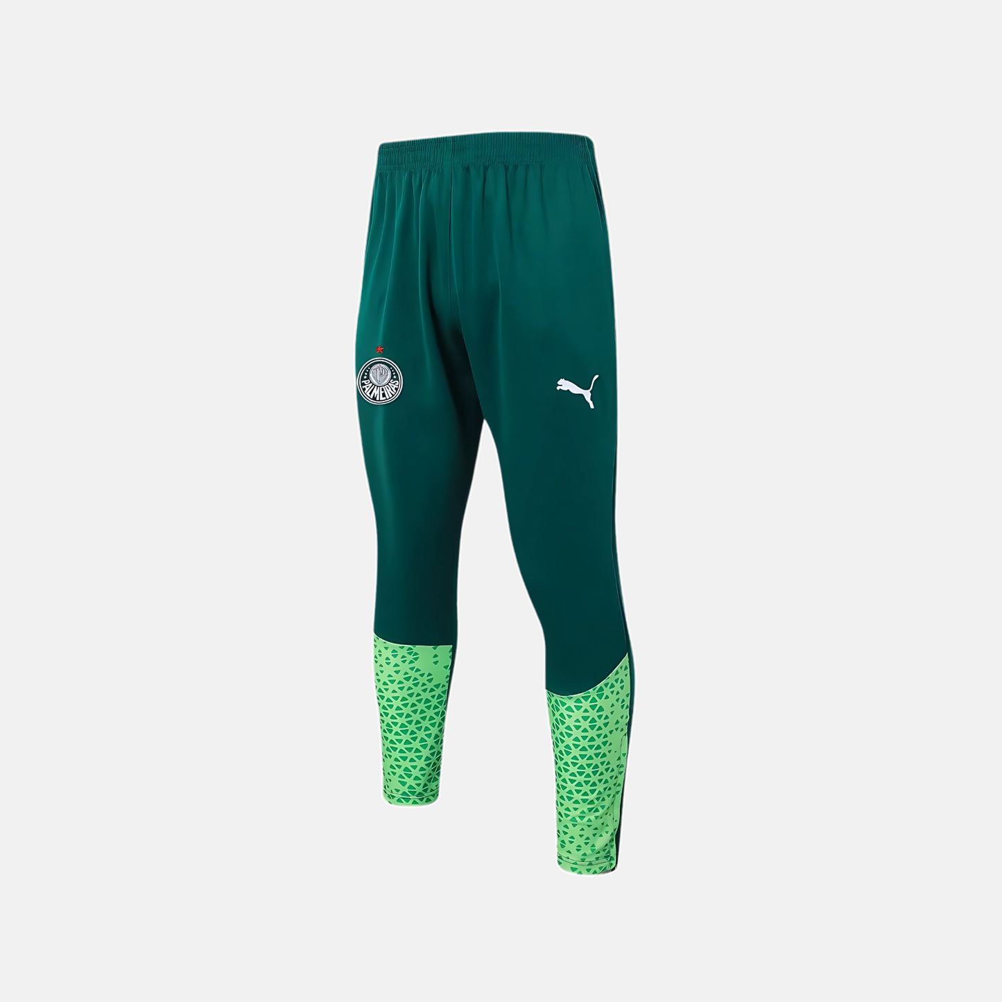 Conjunto de Treino Puma Palmeiras 2024/25 II – Masculino - detalhe