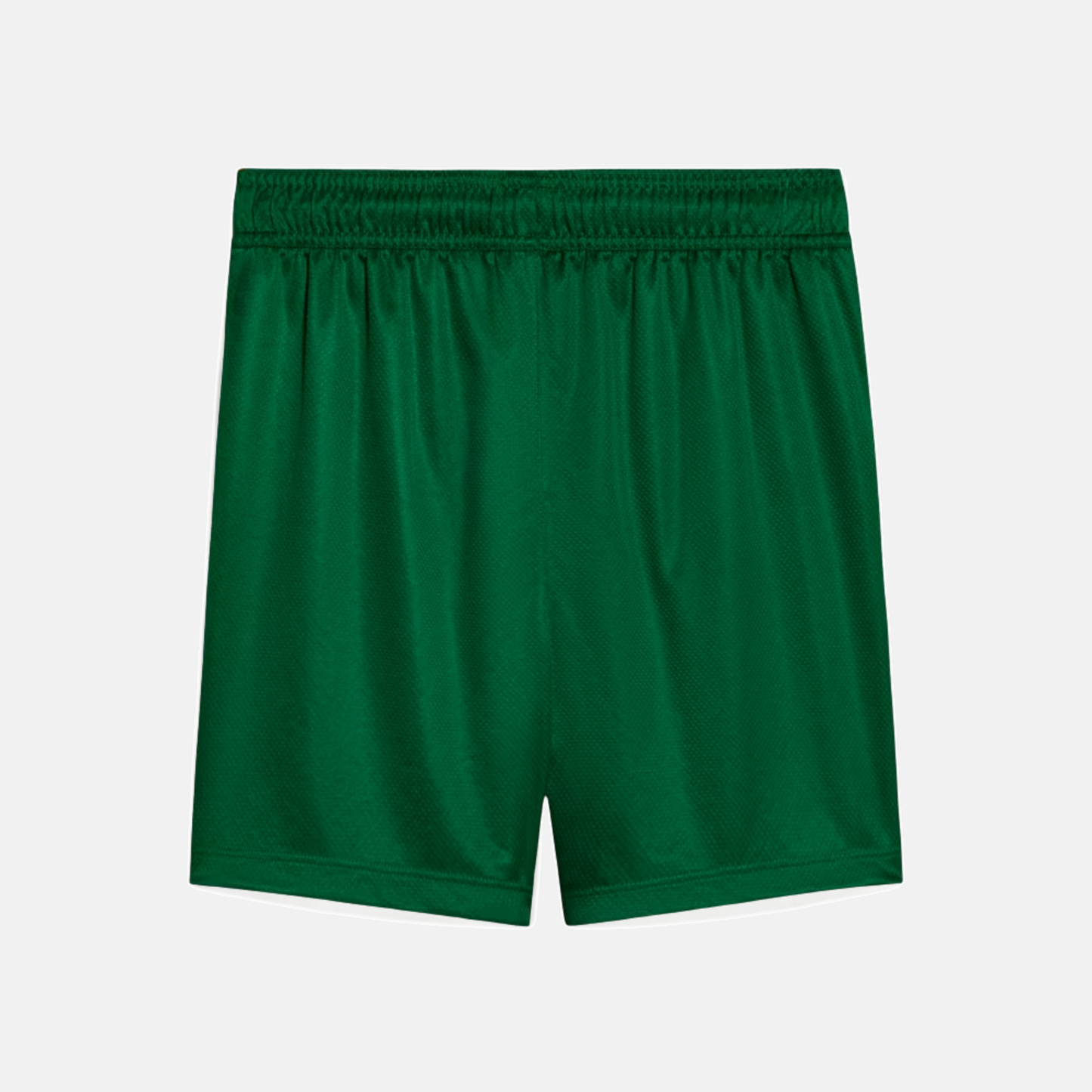 Shorts Palmeiras 2025 II – Torcedor - vista traseira