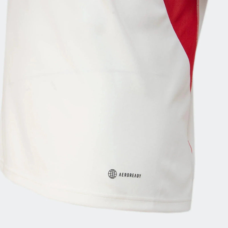 Camisa Flamenguista 2023/24 Treino
