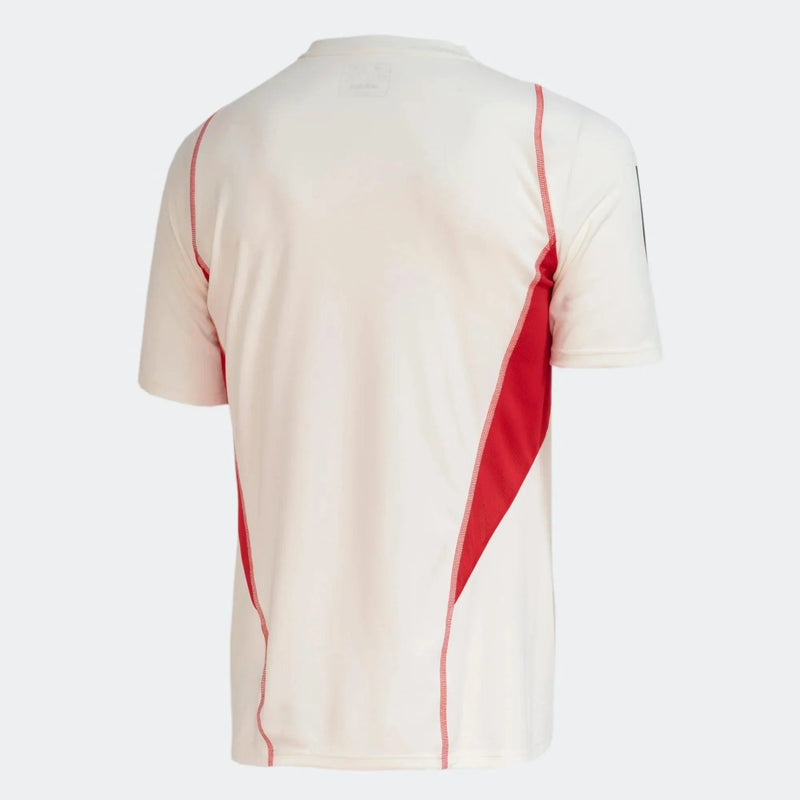Camisa Flamenguista 2023/24 Treino