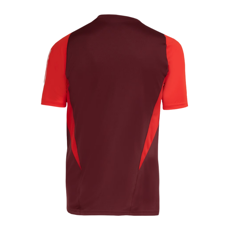 Camisa SC Internacional 2024/25 Treino