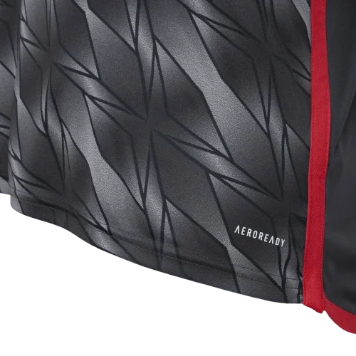 Camisa Flamenguista III 2024/25