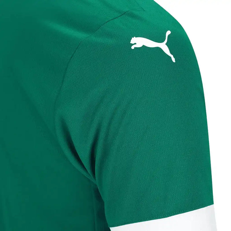 Camisa Palmeirense I 2025/26