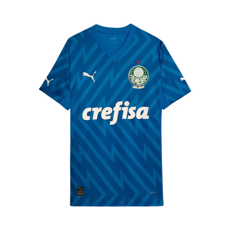 Camisa SE Palmeirense Goleiro 2024/25 Home