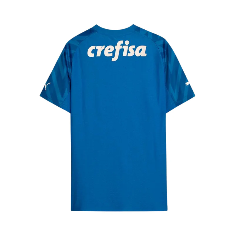 Camisa SE Palmeirense Goleiro 2024/25 Home