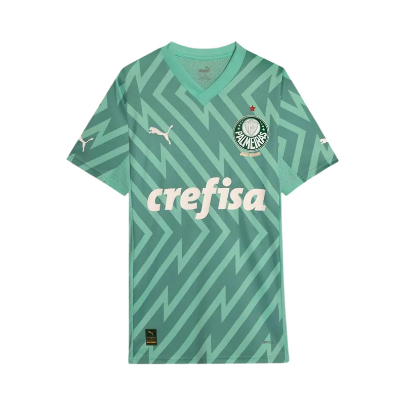 Camisa SE Palmeirense Goleiro 2024/25 Away