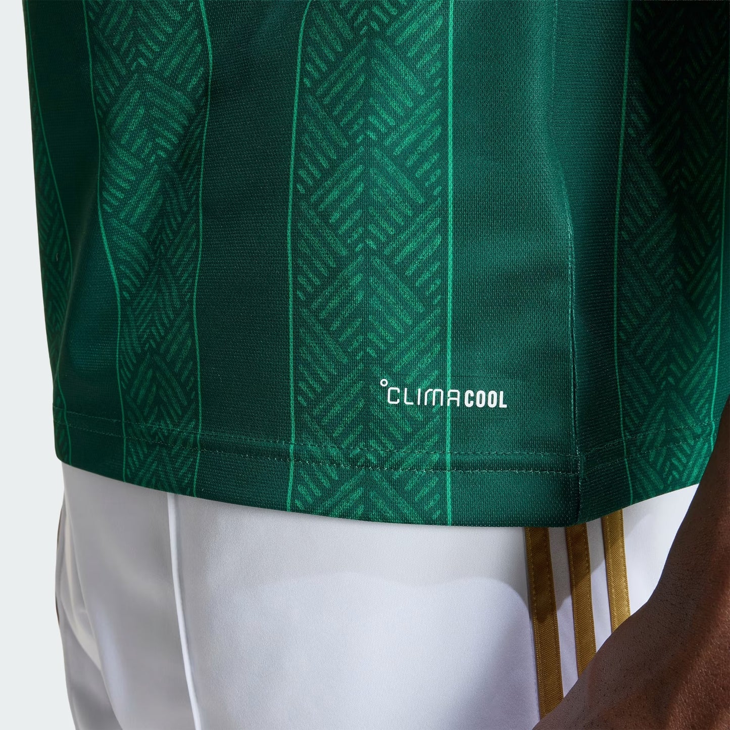 Camisa Africa do Sul 2026/27 I - detalhe