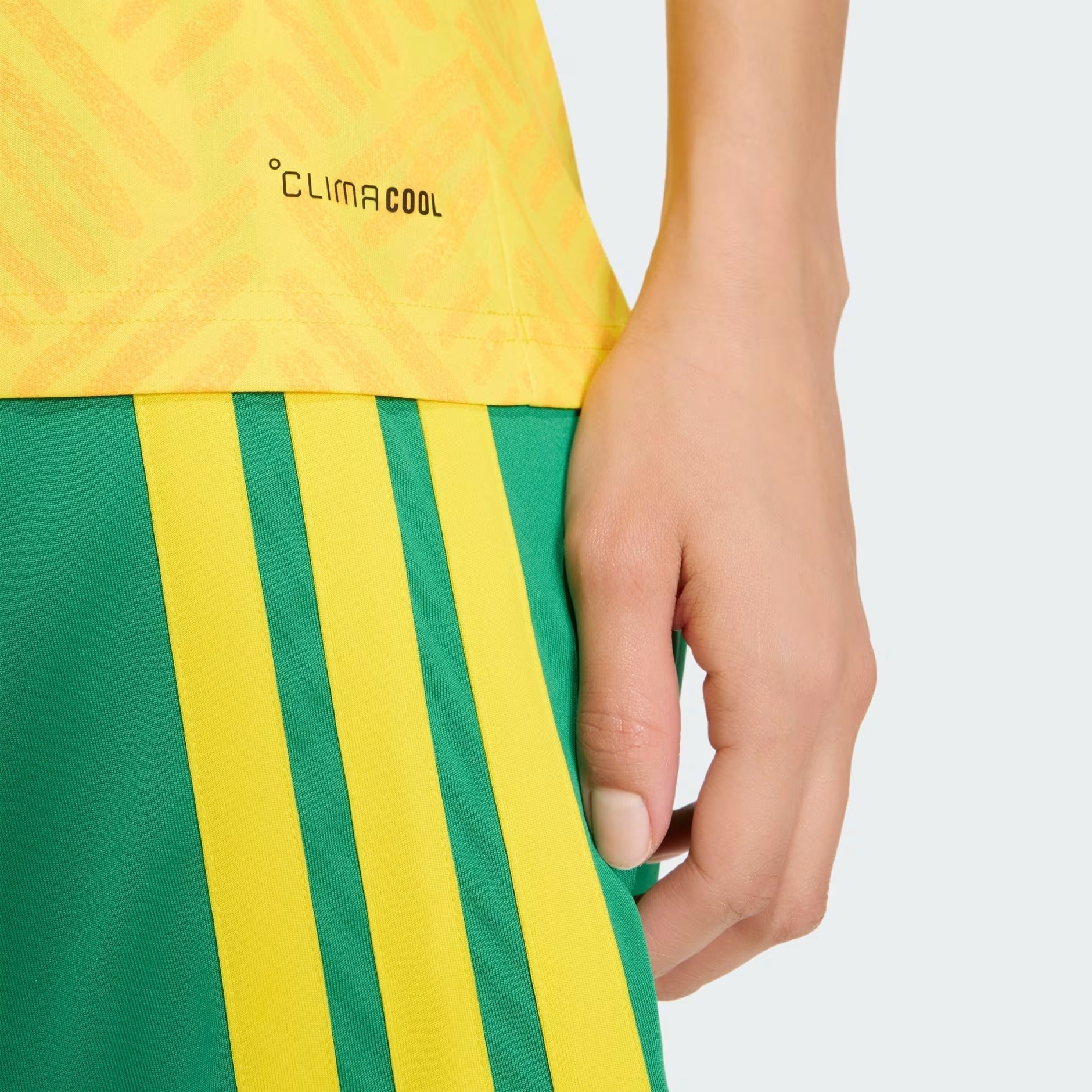 Camisa Africa do Sul 2026/27 II - detalhe